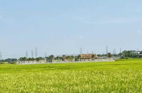 7 trường hợp đất không được cấp sổ hồng