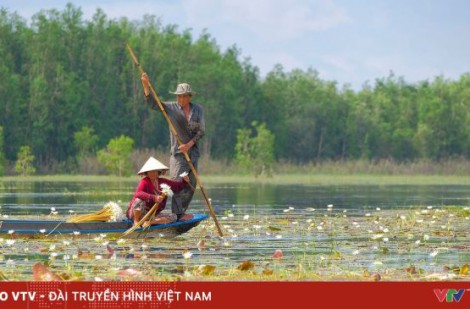 An Giang mùa nước nổi