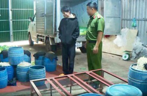 An toàn thực phẩm phải đặt lên hàng đầu