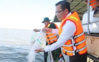 Bạc Liêu: Thả 4,7 triệu con tôm giống ra cửa biển Gành Hào