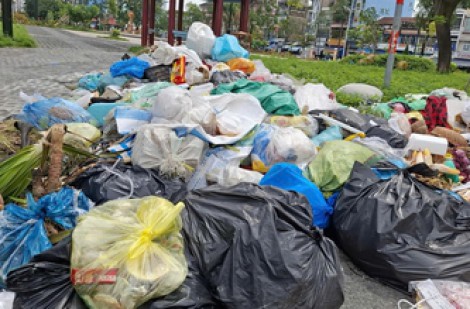 Bãi rác cạnh công viên