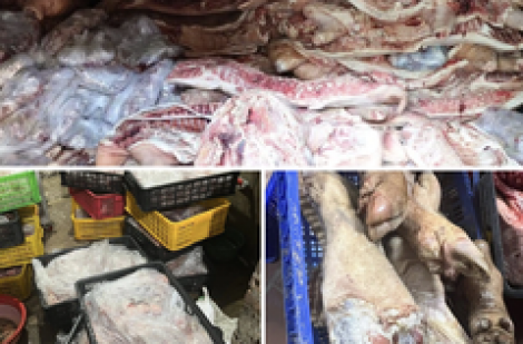 Bắt chủ lò mổ trữ đông 38 tấn thịt heo nhiễm bệnh để tuồn ra thị trường