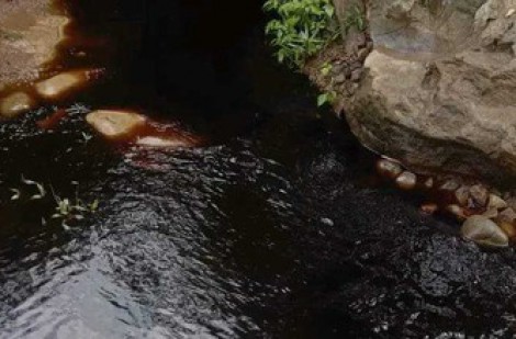 Bất lực nhìn dòng suối huyết mạch ở Hòa Bình bị 'bức tử'