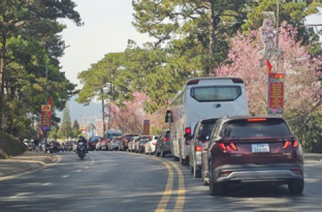 Bất ngờ: Du khách đến Đà Lạt dịp tết giảm