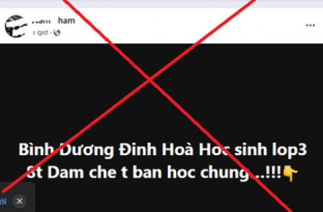 Bình Dương: Đăng thông tin sai sự thật gây hoang mang dư luận, bị xử phạt