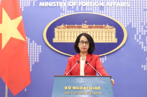 Bộ Ngoại giao phối hợp chặt chẽ với các nước trong việc bảo hộ công dân