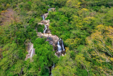 Bộ TNMT đang tham vấn chuyển đổi 12ha rừng tự nhiên tại Vườn quốc gia Núi Chúa làm Khu nghỉ dưỡng cao cấp