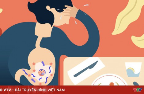 Bộ Y tế chỉ đạo điều tra, xử lý vụ nghi ngờ ngộ độc thực phẩm tại Vĩnh Long