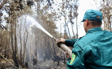 Cà Mau điều tra nguyên nhân cháy rừng ở Nông trường 402