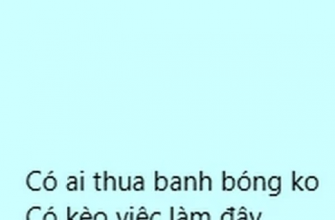 Cái bẫy 'việc nhẹ lương cao' đang giăng ra trong mùa EURO…