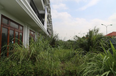 Cảnh hoang vắng loạt dự án bất động sản bên bờ vịnh Hạ Long