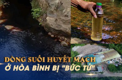 Cầu cứu vì ô nhiễm bủa vây dòng suối huyết mạch ở Hòa Bình