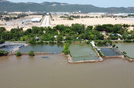 Chấm dứt hoạt động dự án khu vui chơi giải trí gần 800 tỉ ở Quy Nhơn