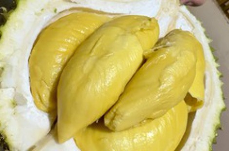 Chỉ 1 tháng, xuất khẩu sầu riêng chạm mốc kỷ lục 1 tỉ USD