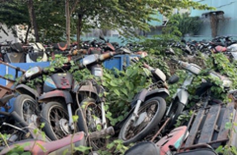 Cho bán ngay tang vật nếu không có nơi bảo quản?