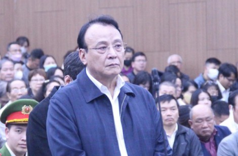 Chủ tịch Tập đoàn Tân Hoàng Minh bị phạt 8 năm tù