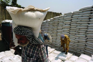 Cơ hội đẩy mạnh xuất khẩu gạo