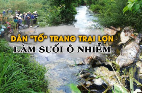 Dân ‘tố’ trang trại lợn làm nước chuyển đỏ, cá chết la liệt