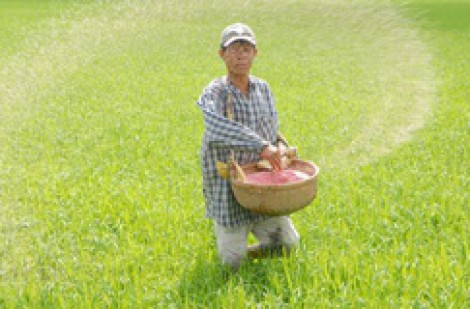Doanh nghiệp Việt đẩy mạnh xuất khẩu phân bón