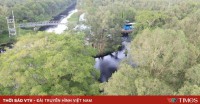Du lịch miền Tây: Trải nghiệm đa dạng giữa sông nước và lễ hội dân gian