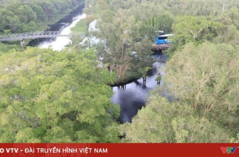 Du lịch miền Tây: Trải nghiệm đa dạng giữa sông nước và lễ hội dân gian