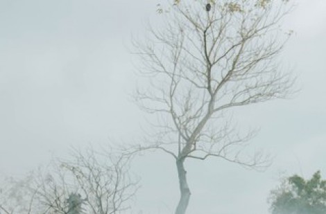 Dựng phim trường lớn mô tả cuộc chiến 81 ngày đêm tại Thành cổ Quảng Trị