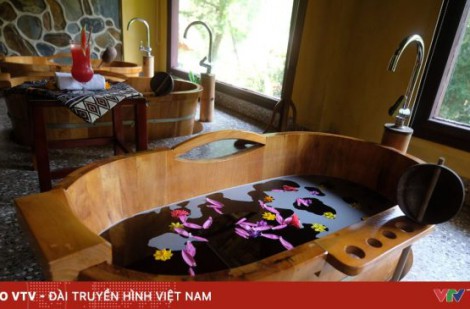 Dược liệu vùng cao trong hành trình du lịch sức khỏe