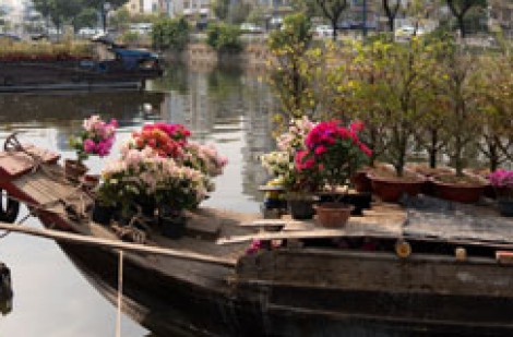 Gặp gỡ cuối năm: Nụ cười lấp lánh trên những chiếc thuyền hoa 'chở tết'