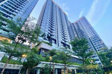 Giá căn hộ tăng trung bình từ 15 - 20%/năm