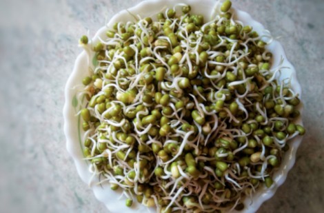 Giá đỗ xanh giúp cải thiện kiểm soát lượng đường trong máu như thế nào?