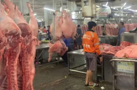 Giá heo hơi hôm nay 15.10.2025: Xuống thấp nhất trong 19 tháng qua