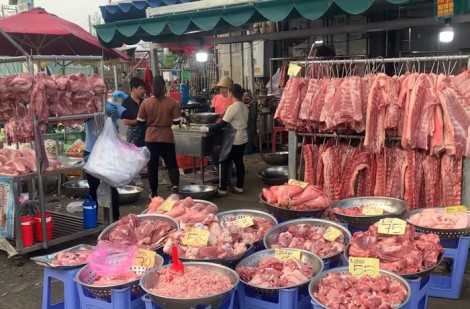 Giá heo hơi hôm nay 17.10.2025: Tạm chững lại