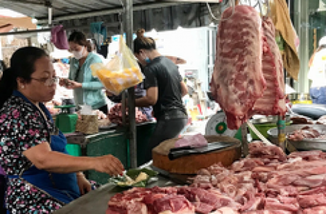 Giá heo hơi hôm nay 24.4.2025: Chênh lệch lớn giữa các khu vực