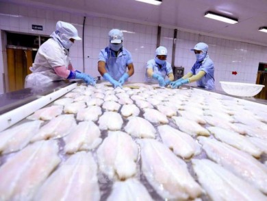 “Gỡ khó” nguyên liệu cho doanh nghiệp hải sản