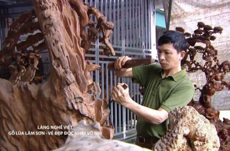 Gỗ lũa Lâm Sơn - Vẻ đẹp độc nhất vô nhị