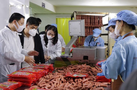 Hà Nội tập trung cao điểm kiểm tra an toàn thực phẩm dịp Tết và Lễ hội Xuân 2024