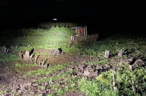 Hai người bị điện giật tử vong khi xe công nông mắc lầy