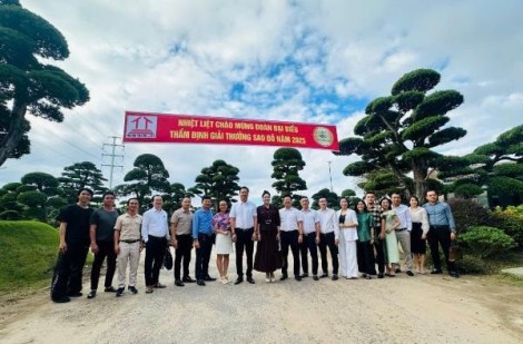 Hành trình tìm kiếm những “ngôi sao Đỏ”