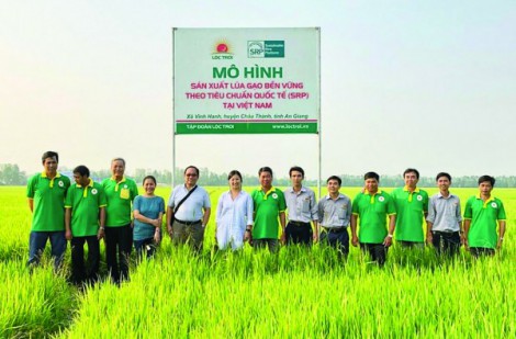 Hỗ trợ doanh nghiệp chuyển đổi xanh: Cần cú hích từ thể chế, chính sách