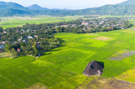 Hồi sinh gốm cổ Yang Tao