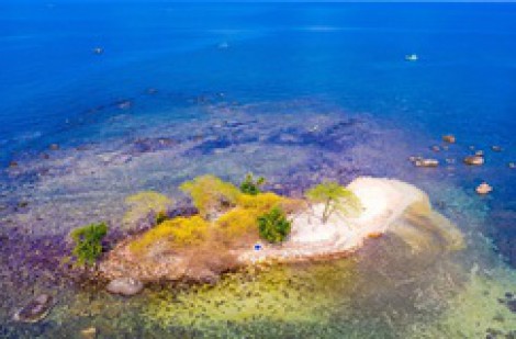 Hòn đảo ở Việt Nam vào top 5 điểm đến thịnh hành nhất thế giới