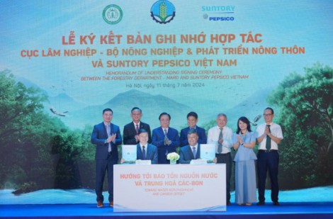 Hợp tác phát triển rừng bền vững, hướng đến bảo tồn nguồn nước và trung hòa các - bon