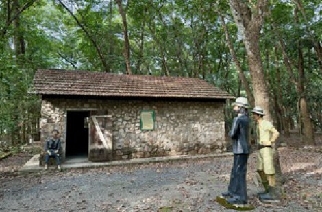 Khám phá vườn cao su độc đáo nhất Bình Dương được trồng từ thời Pháp thuộc