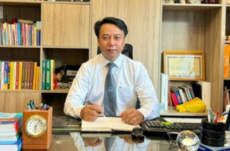 Khi nào bắt buộc phải đấu giá, đấu thầu?
