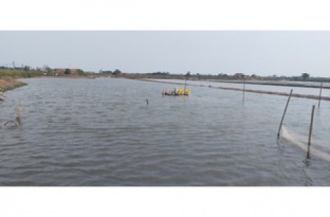 Khởi tố 5 cán bộ xã liên quan đến khu vực Cồn Xanh