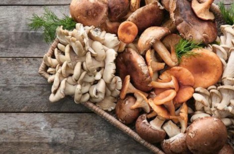 Làm thế nào để tăng gấp đôi vitamin D trong nấm?