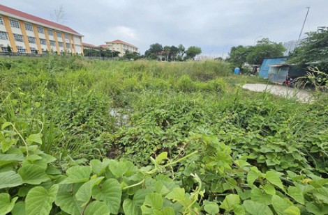 Lấy đất bỏ hoang xây nhà tái định cư cho dân