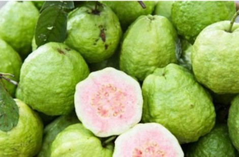 Loại quả là kho vitamin C, chăm ăn khỏi lo gặp bác sĩ