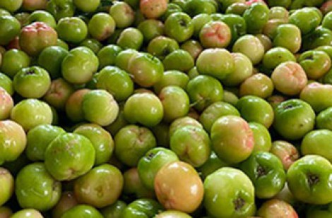 Lợi ích và những lưu ý khi dùng sơ ri