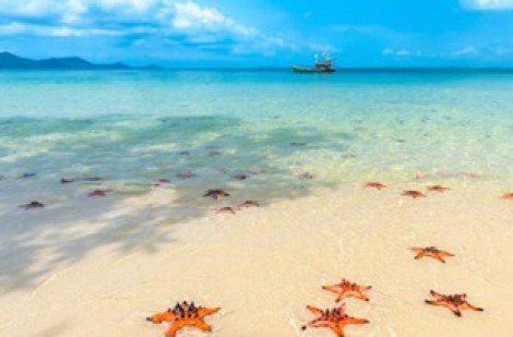 Lý do báo Mỹ gọi nơi này là 'Hawaii Việt Nam'